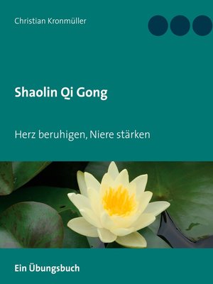 cover image of Shaolin Qi Gong